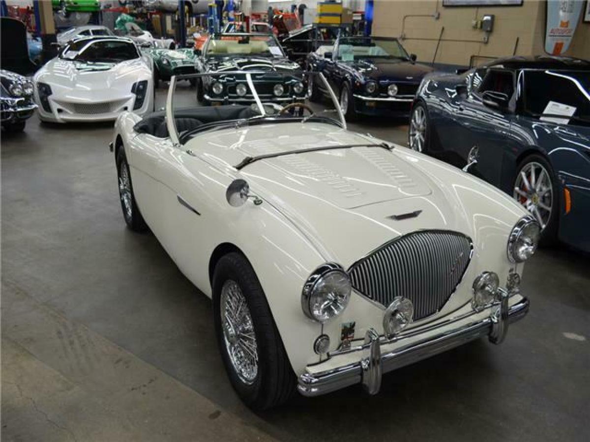 1954 Austin Healey 100-4 Roadster