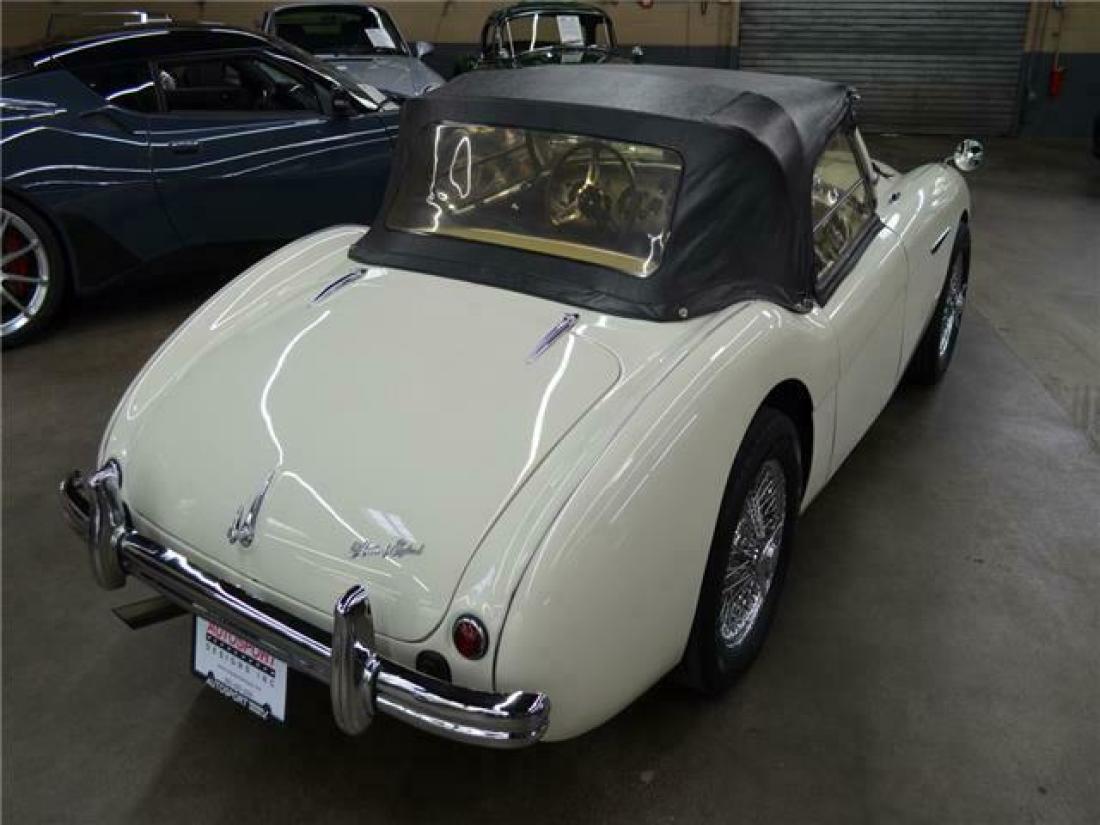 1954 Austin Healey 100-4 Roadster - photo 11