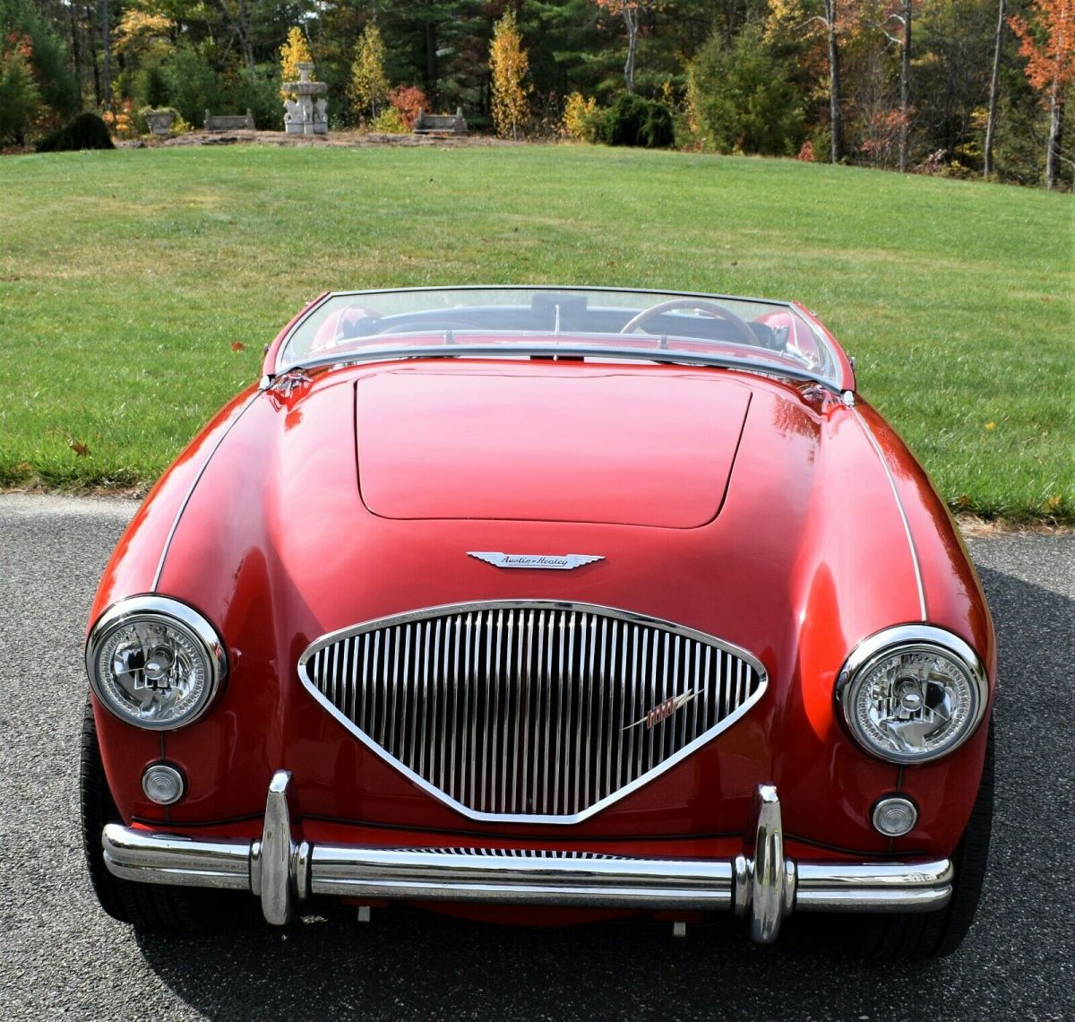 1954 Austin Healey 100 - photo 5