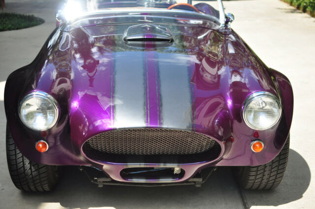 1954 Austin Healey 100 - photo 3