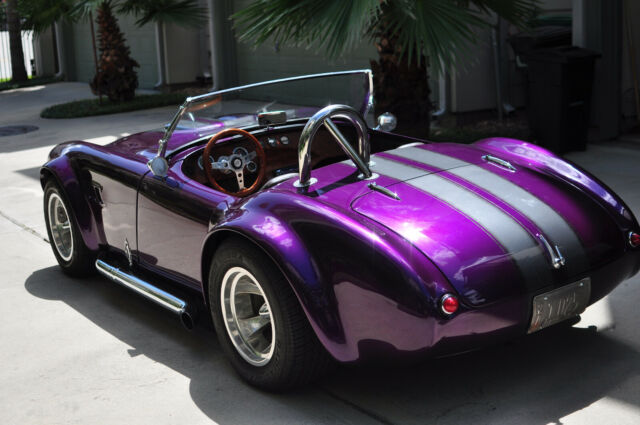 1954 Austin Healey 100 - photo 8