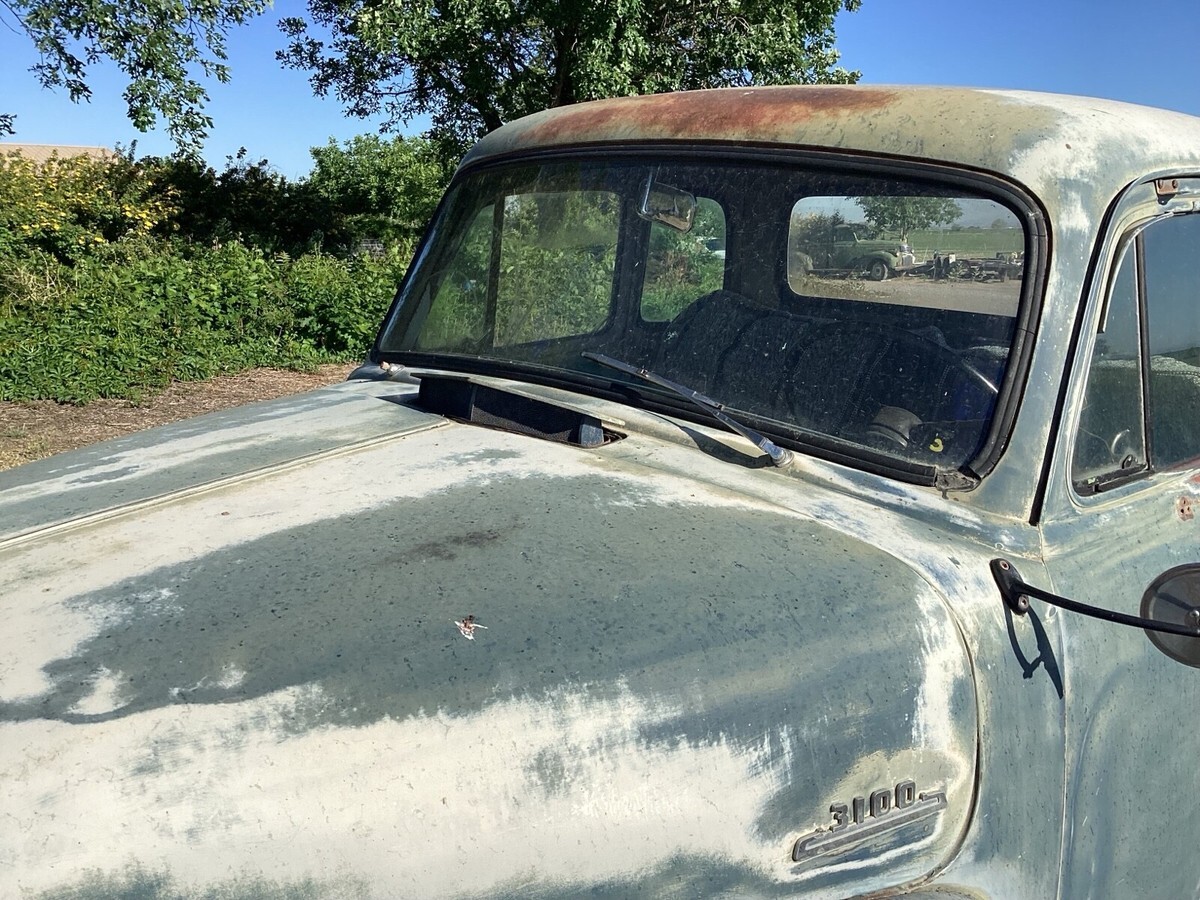 1954 Chevrolet 3100 5 window cab, short bed - photo 8