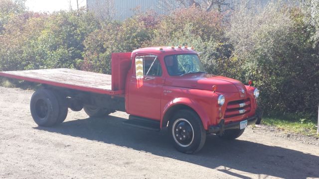 1954 Dodge Truck Pickup Rat Rod Hemi 1969, 70, 71, 72, 68 custom flatbed dually 1954 Dodge Other Pickups 2 Door
