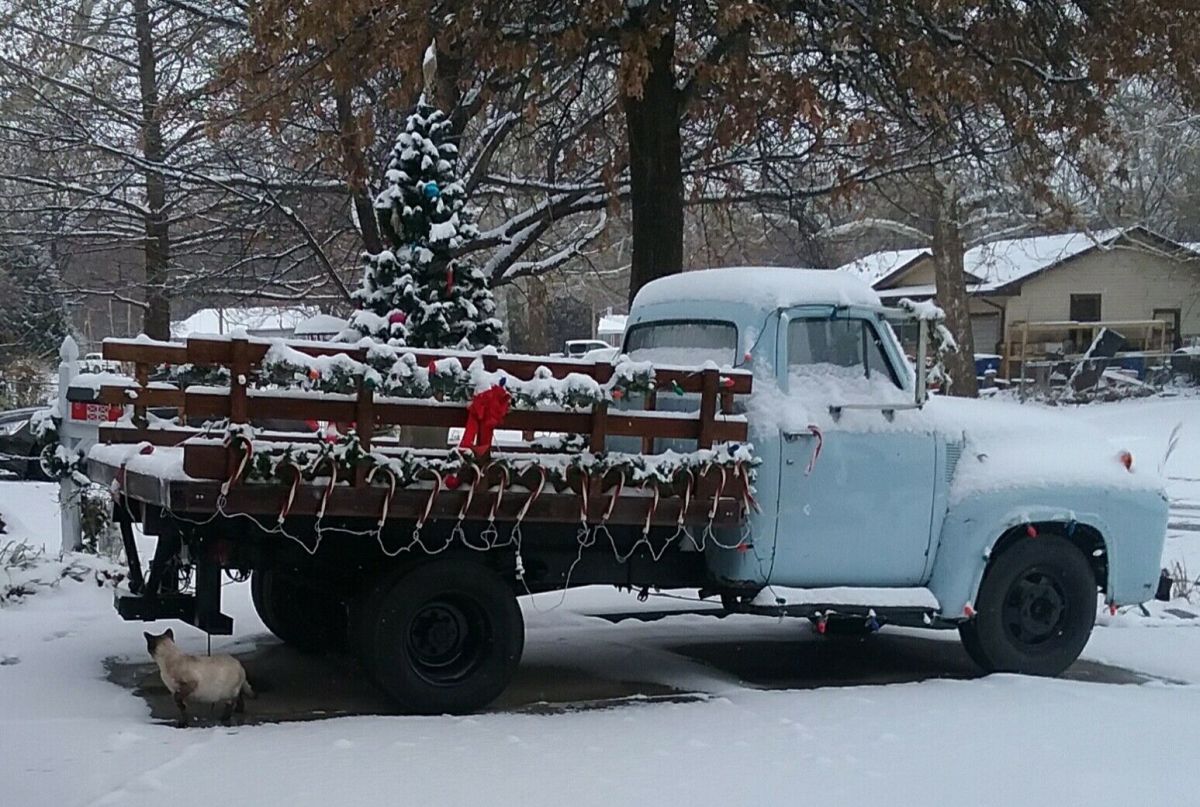 1954 Ford Other Pickups - photo 13