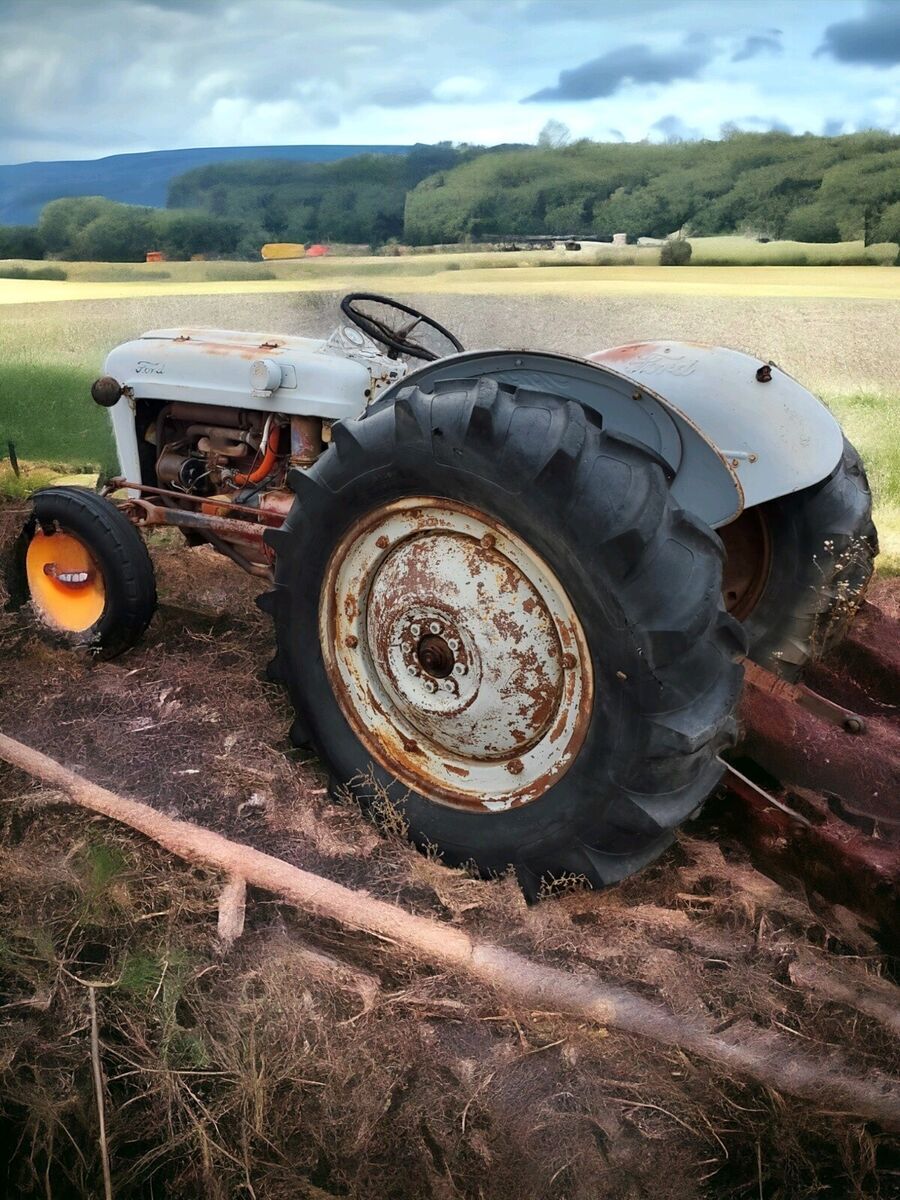 1954 Ford F - photo 2