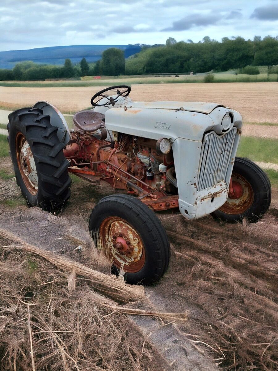 1954 Ford F - photo 9