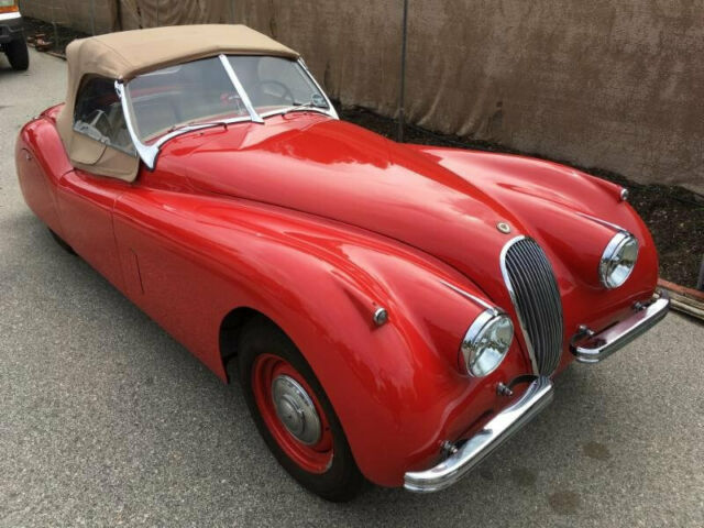 1954 Jaguar XK - photo 5