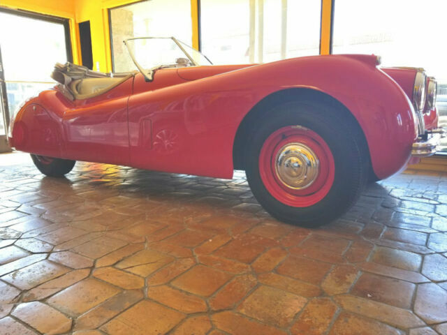 1954 Jaguar XK - photo 6