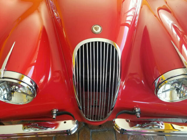 1954 Jaguar XK - photo 12