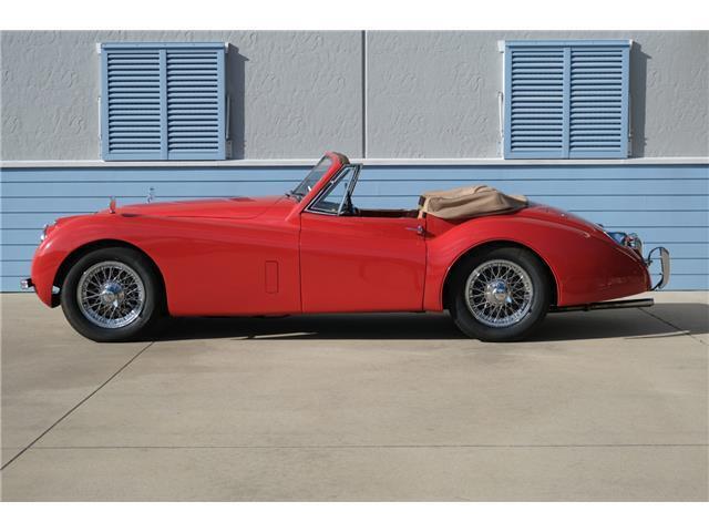 1954 Jaguar XK - photo 7