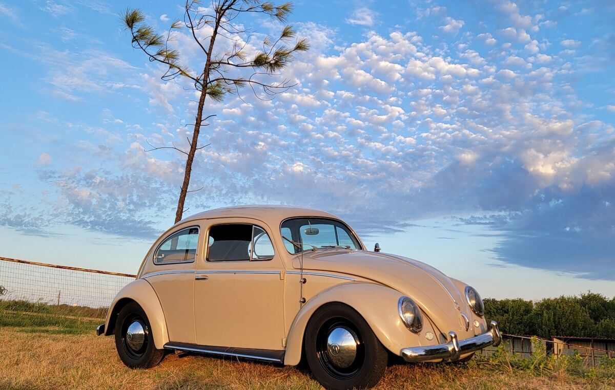 1954 Volkswagen Beetle - Bug - Deluxe Sedan - with 1600cc for Power and Fun! 1954 Volkswagen Beetle - Classic Deluxe