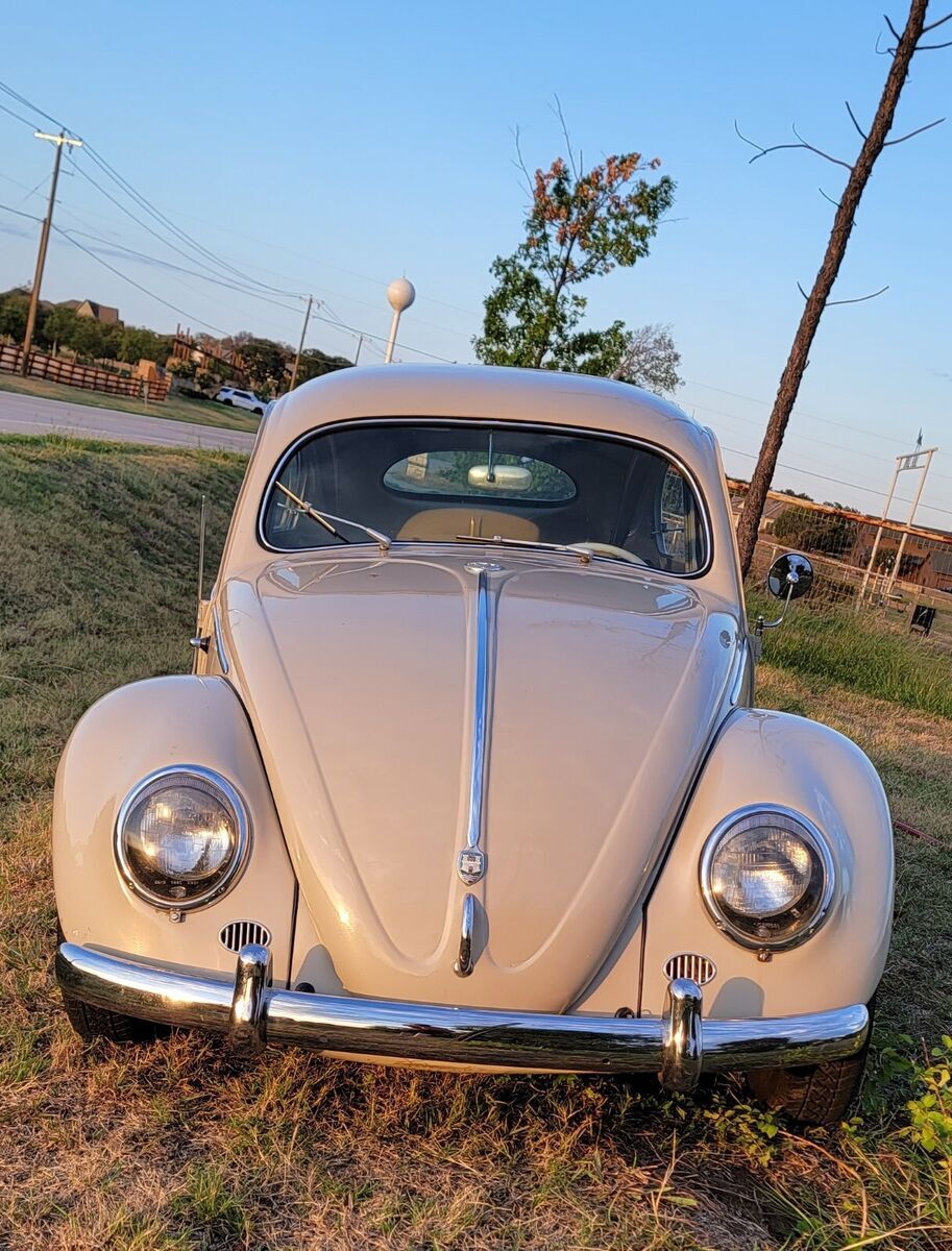1954 Volkswagen Beetle - Classic Deluxe - photo 2