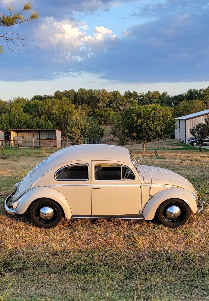 1954 Volkswagen Beetle - Classic Deluxe - photo 3