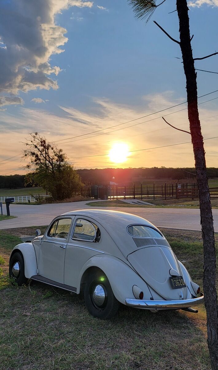 1954 Volkswagen Beetle - Classic Deluxe - photo 5
