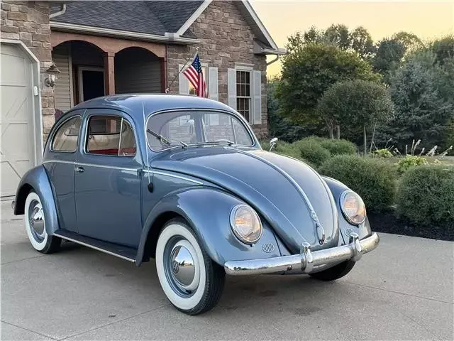 1954 Volkswagen Beetle - Classic