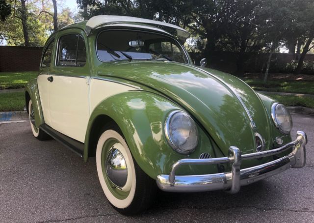 1954 Volkswagen Beetle - Classic - photo 3