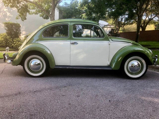 1954 Volkswagen Beetle - Classic - photo 4