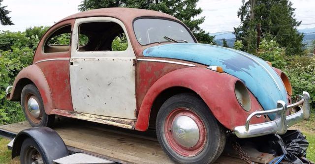 1954 Volkswagen Beetle - Classic - photo 2