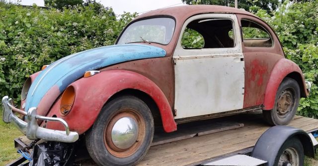 1954 Volkswagen Beetle - Classic - photo 3
