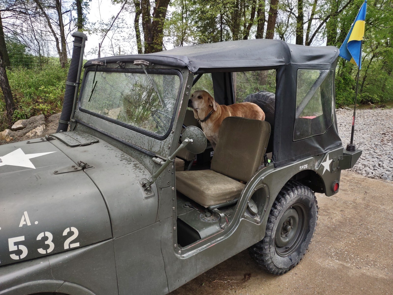 1954 Willys M38A1 - photo 7