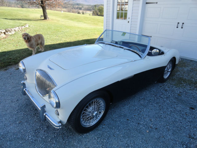 1955 Austin Healey 100 1955 Austin Healey Other