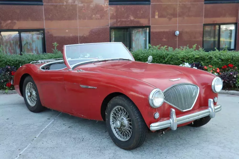 1955 Austin Healey 100-4 BN1 for sale! 1955 Austin Healey 100-4 BN1