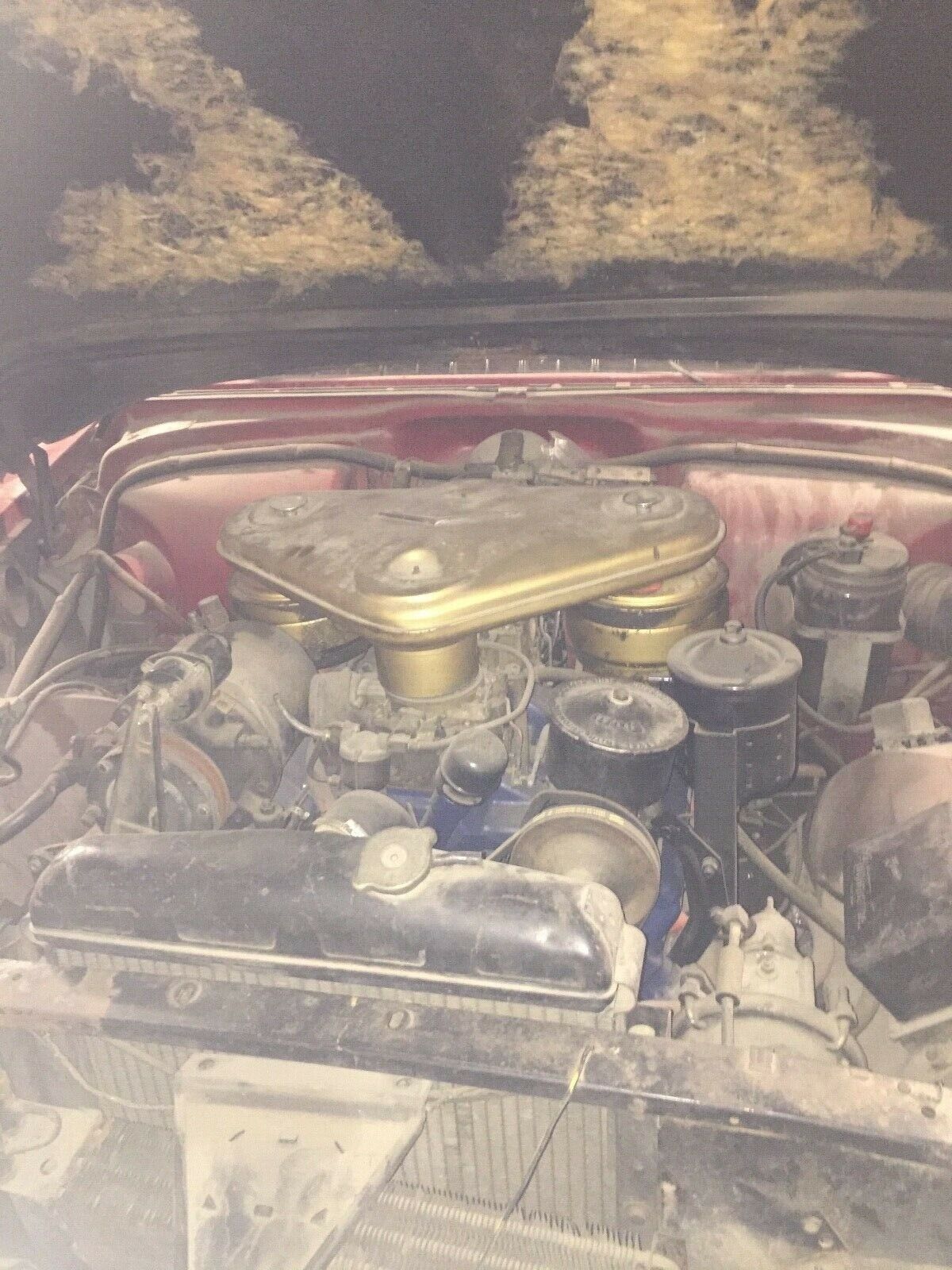 1955 Cadillac Eldorado - photo 4