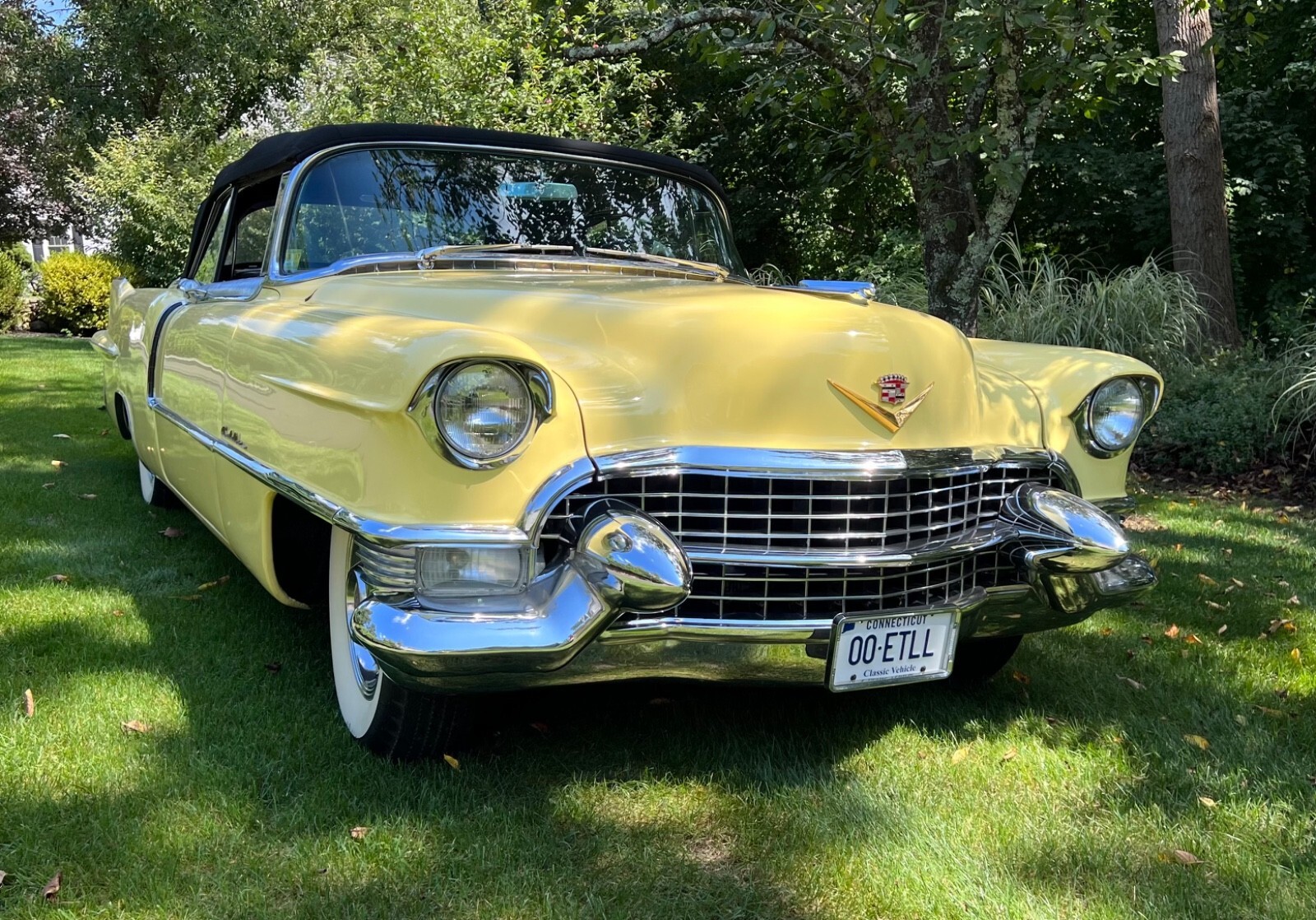 1955 Cadillac Eldorado Convertible - photo 2