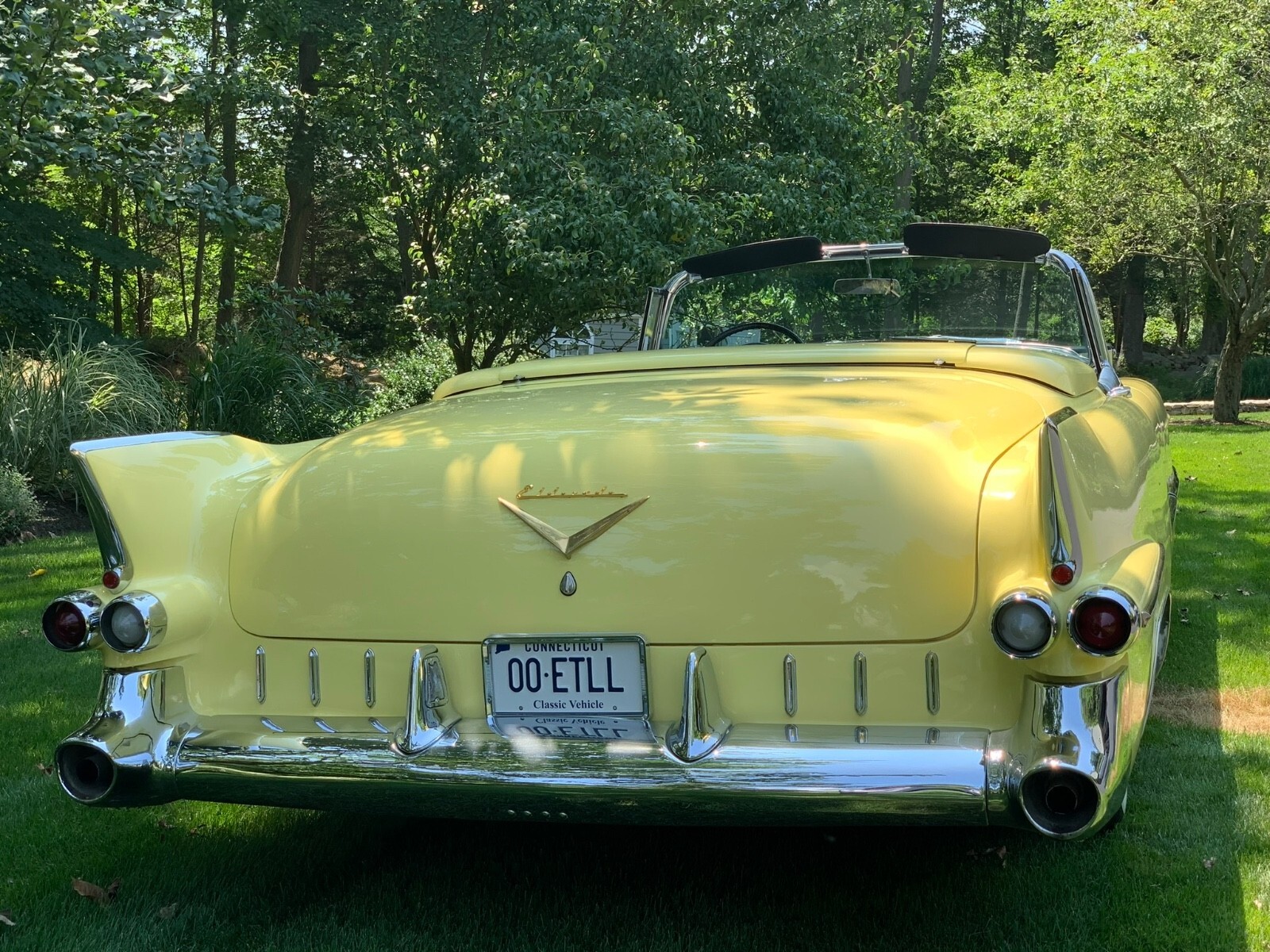 1955 Cadillac Eldorado Convertible - photo 5