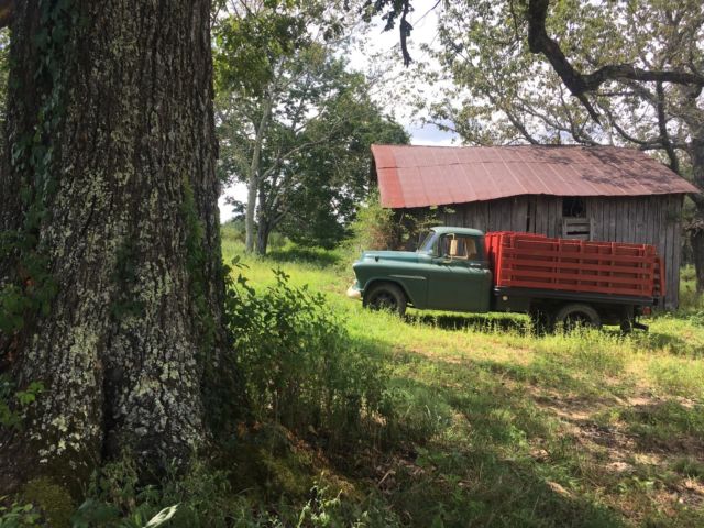 1955 Chevrolet Other Pickups - photo 3