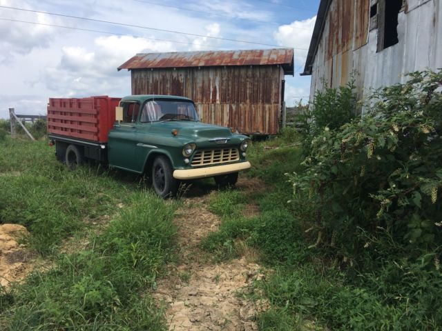 1955 Chevrolet Other Pickups - photo 5
