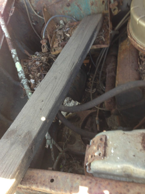 1955 Chevrolet Bel Air/150/210 - photo 11