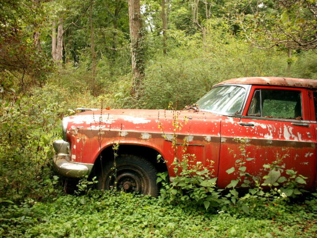 1955 DeSoto wagon - photo 7