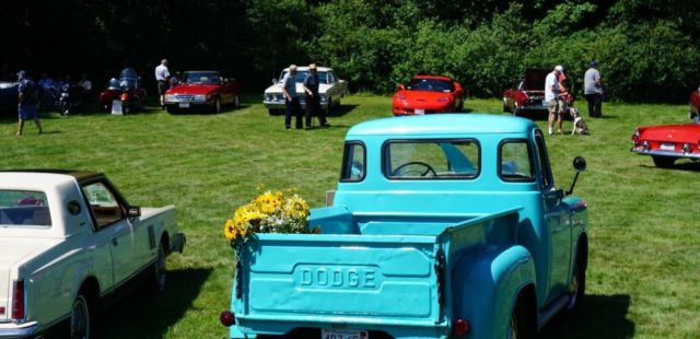 1955 Dodge Other Pickups - photo 7
