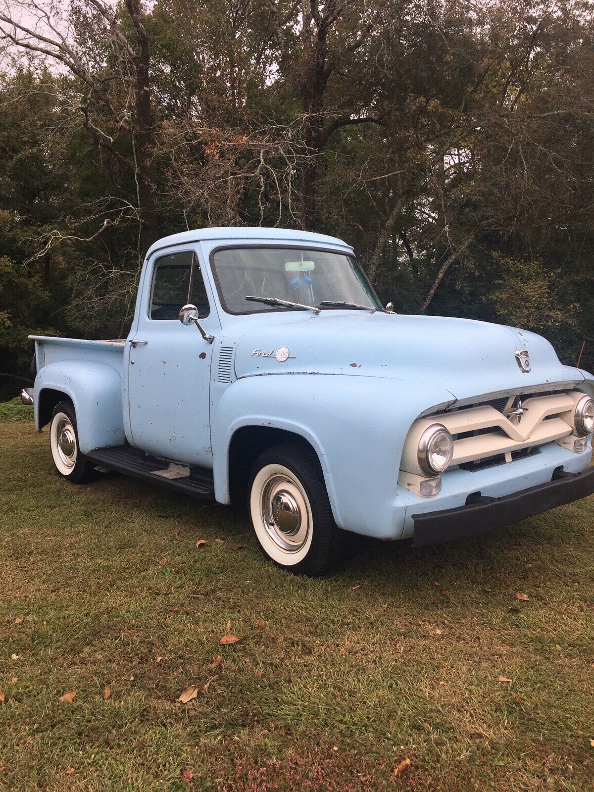 1955 Ford F100 Blue RWD Manual 1955 Ford F100