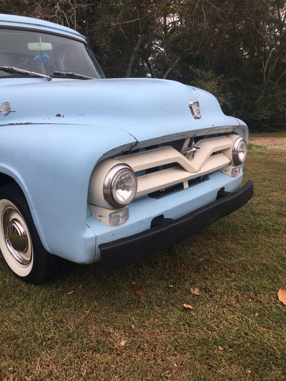 1955 Ford F100 - photo 5