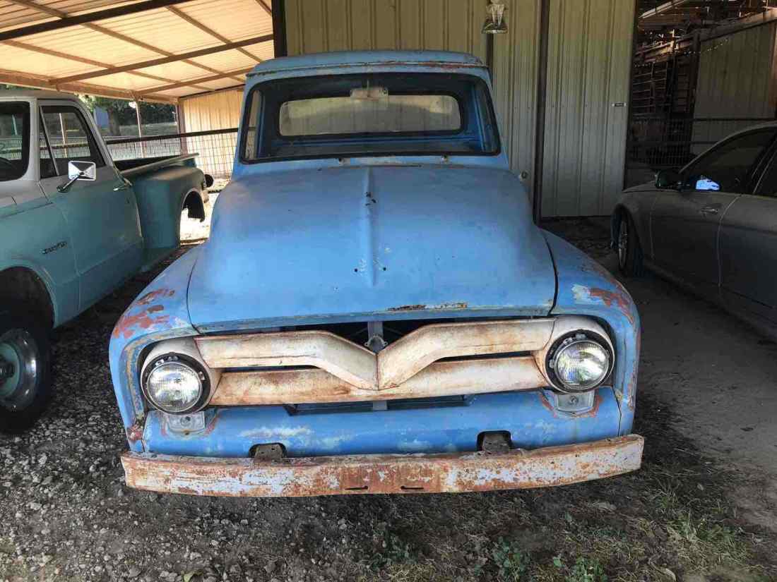 1955 Ford F100