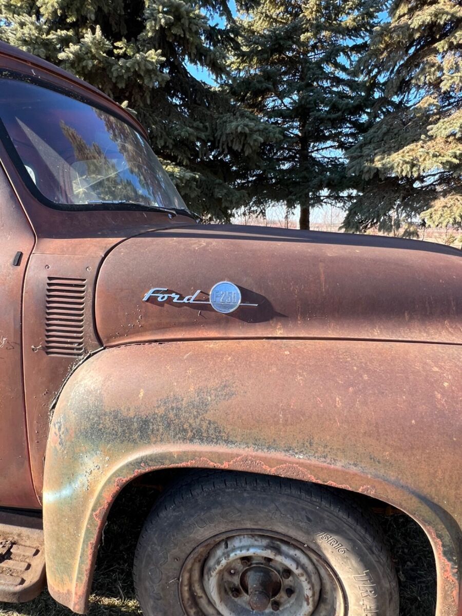 1955 Ford Other Pickups - photo 3
