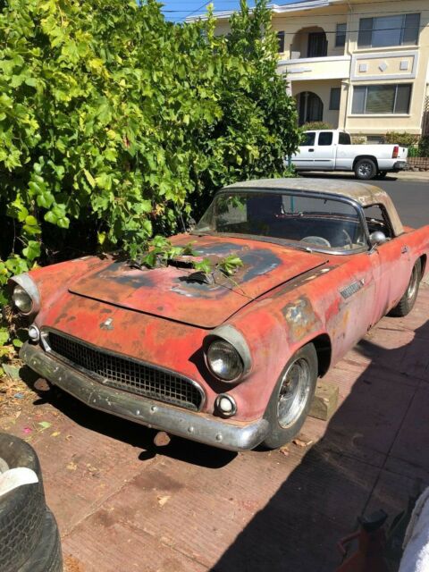 1955 Ford Thunderbird, 310 horses Packard engine with 2x4's, got some history 1955 Ford Thunderbird