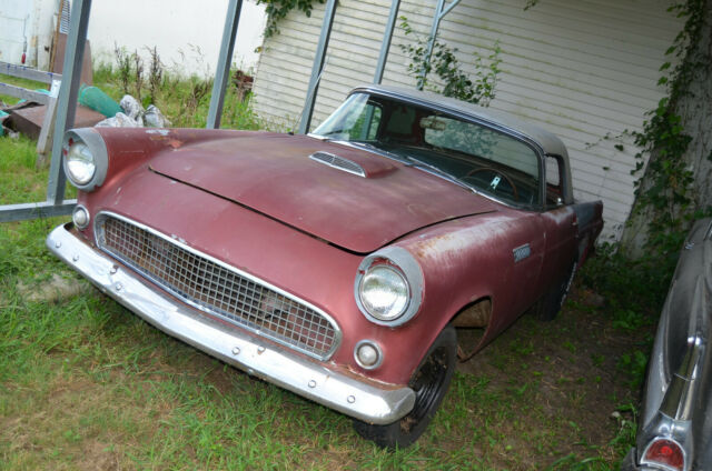 1955 ford thunderbird-baby bird! 1955 Ford Thunderbird