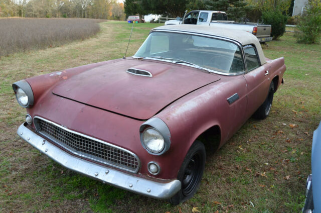 1955 Ford Thunderbird - photo 2