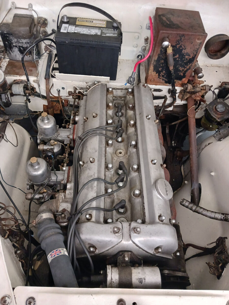 1955 Jaguar Other - photo 5