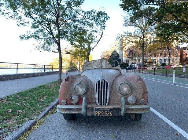 1955 Jaguar XK - photo 3