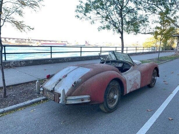 1955 Jaguar XK - photo 4