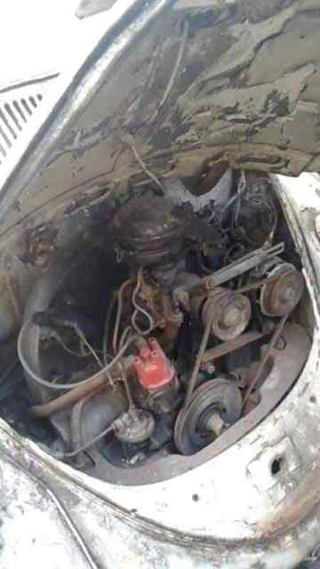 1955 Volkswagen Beetle - Classic Ovali - photo 8