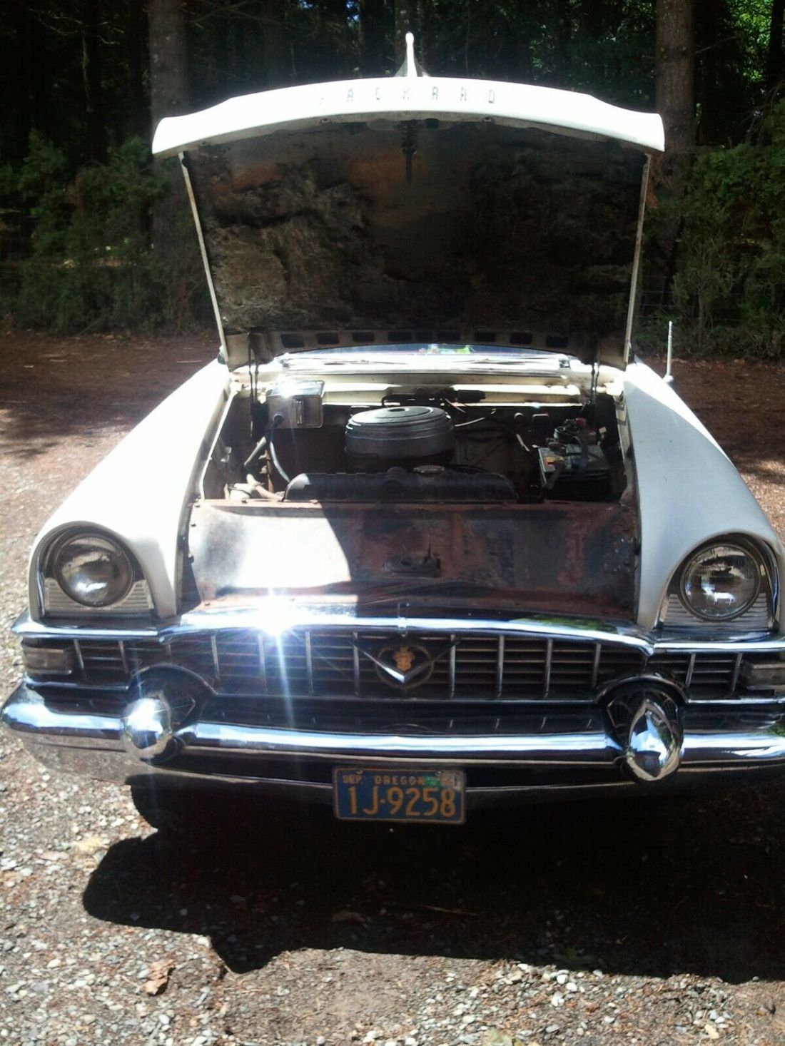 1955 Packard Packard 400 - photo 5