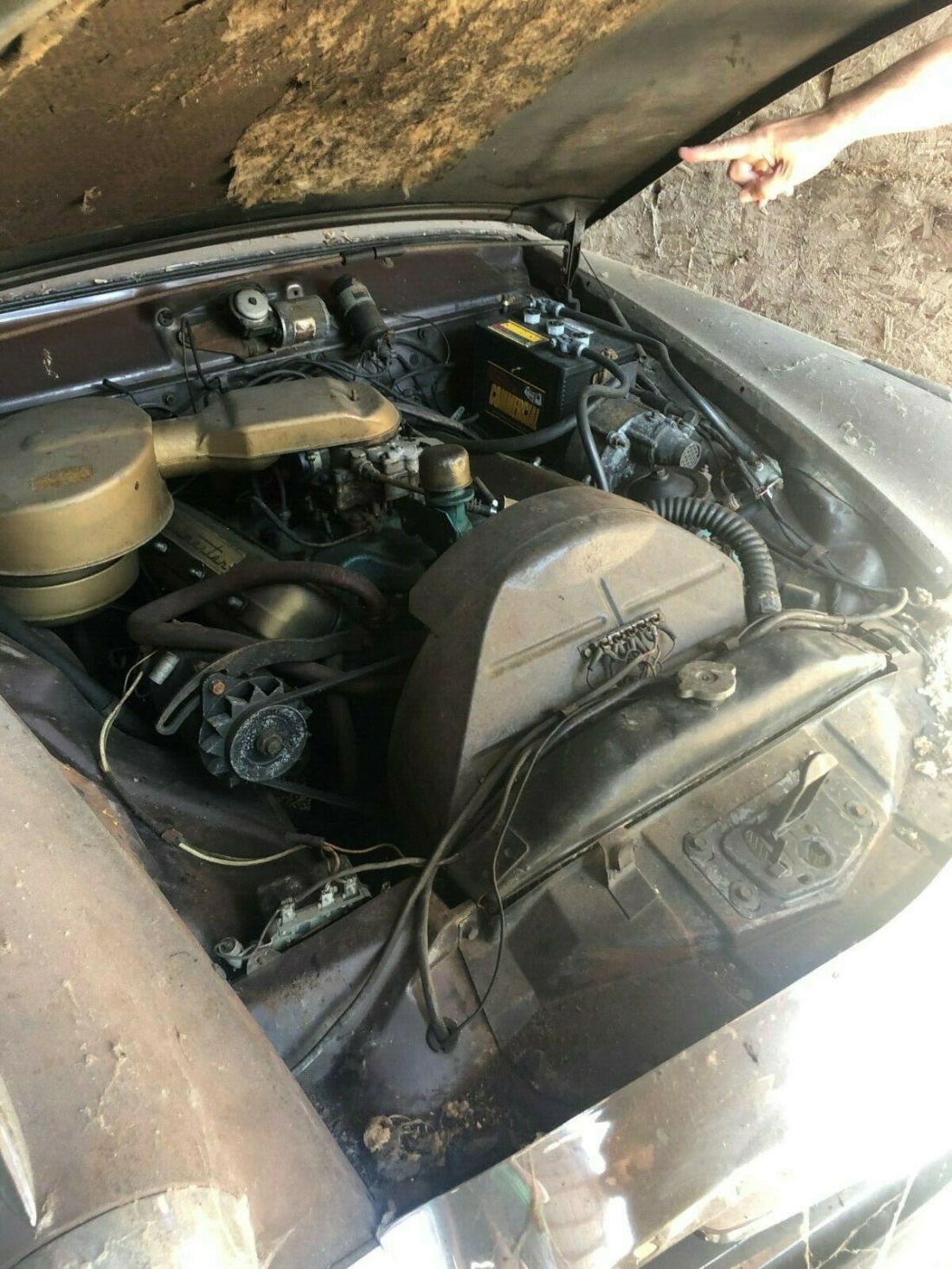 1955 Studebaker President - photo 4