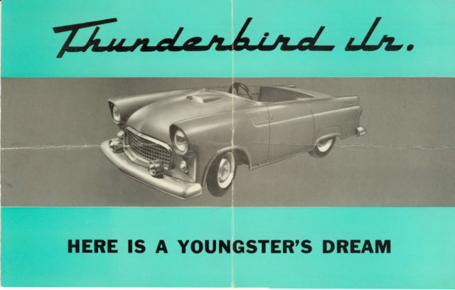 1955 Other Makes CONVERTIBLE THUNDERBIRD - photo 13