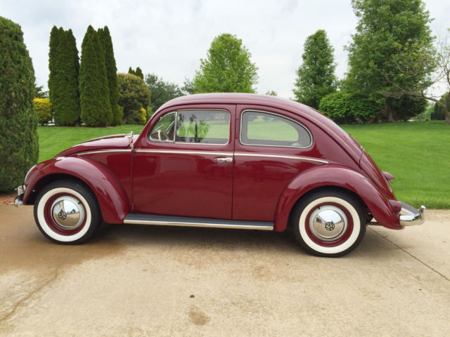1955 Volkswagen Beetle - Classic - photo 2