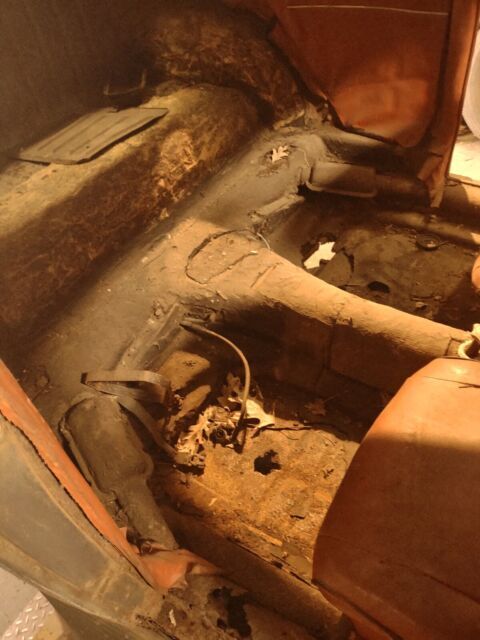 1955 Volkswagen Beetle (Pre-1980) - photo 6